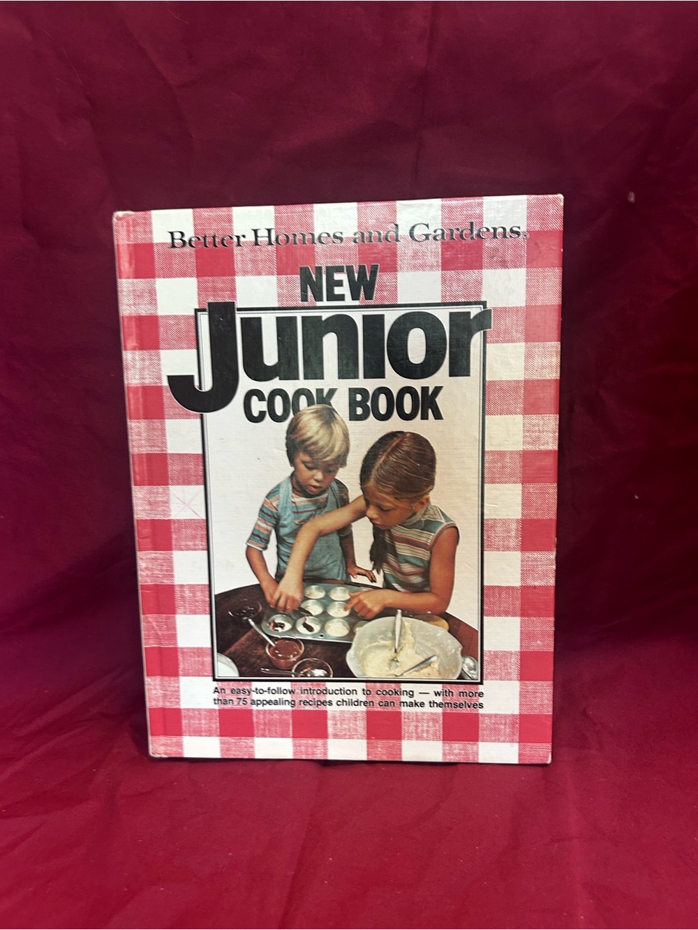 Better Homes and Gardens Junior Cook Book - Red and White Check